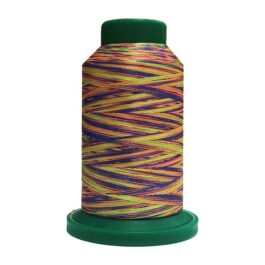 9981 Bright Rainbow Multicolor Variegated Isacord Embroidery Thread